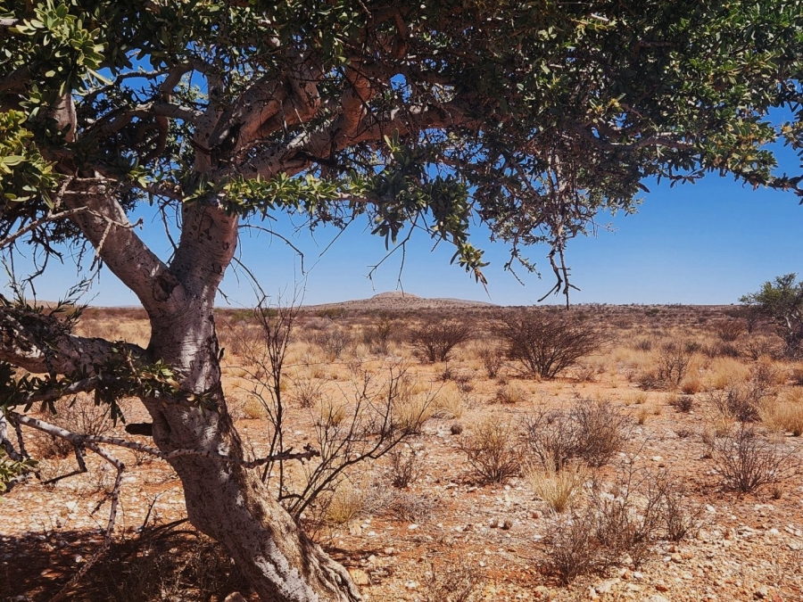 Commercial Property for Sale in Groblershoop Northern Cape